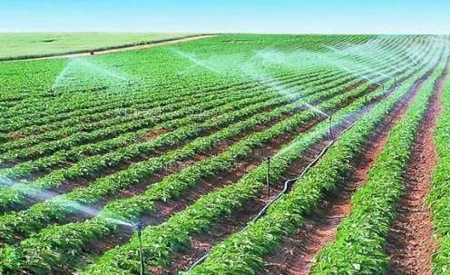 黑人色播在线农田高 效节水灌溉